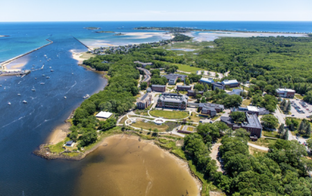 University of New England Launching Online Cannabis Industry Courses University of New England